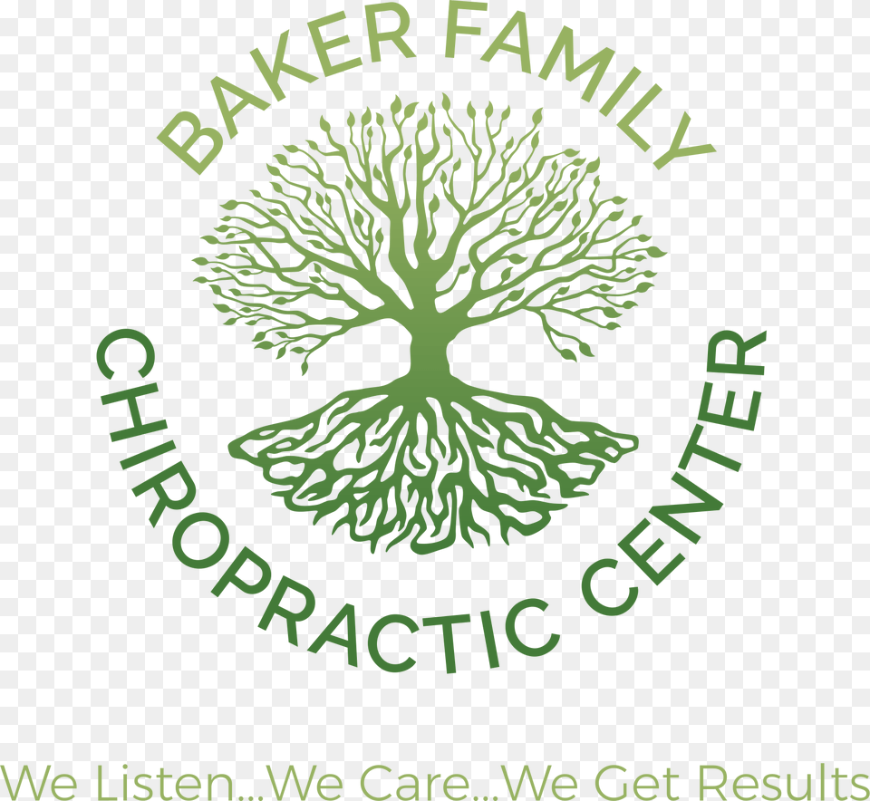 Baker Family Chiropractic Center Graphic Design, Plant, Tree, Herbal, Herbs Free Png Download