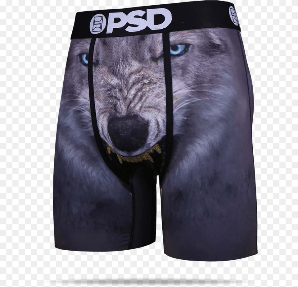 Baker Mayfield Underwear Tiger, Animal, Mammal, Wolf, Cat Free Transparent Png