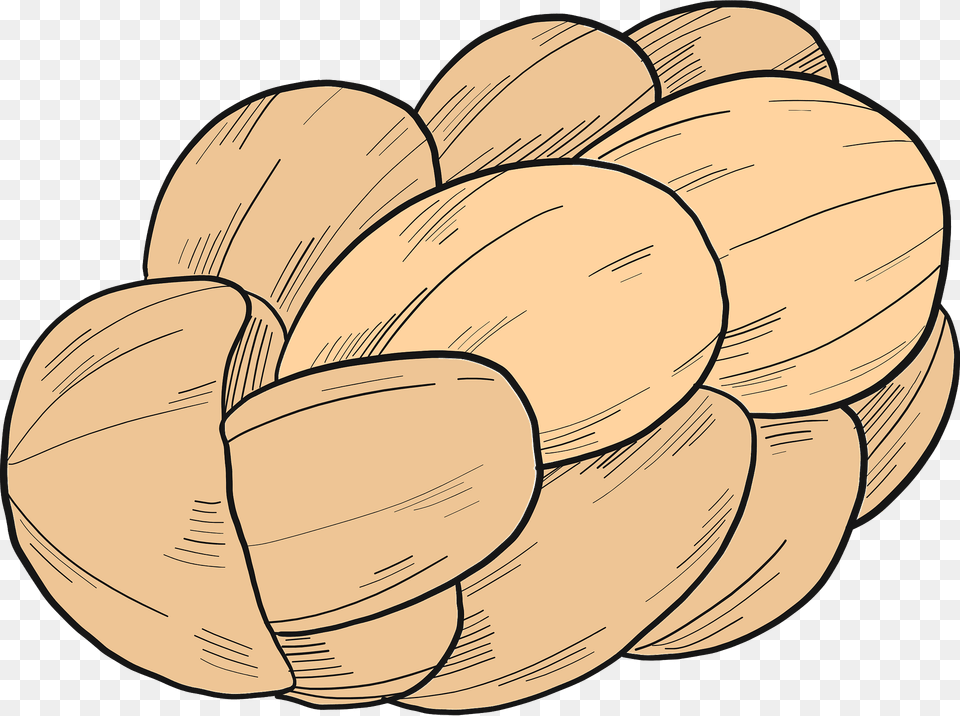 Bakery Clipart, Animal, Clam, Food, Invertebrate Png Image