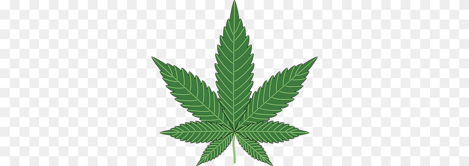 Baking Leaf, Plant, Weed, Animal Free Transparent Png