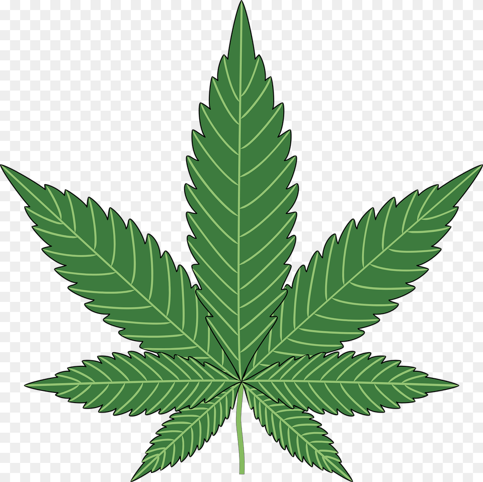 Baking Cannabis Hemp Leaf Marijuana Plant Pot Cannabis, Weed Free Png