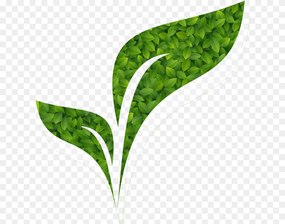 Balance Amp Harmony Wellness Illustration, Green, Leaf, Plant, Herbal Free Png