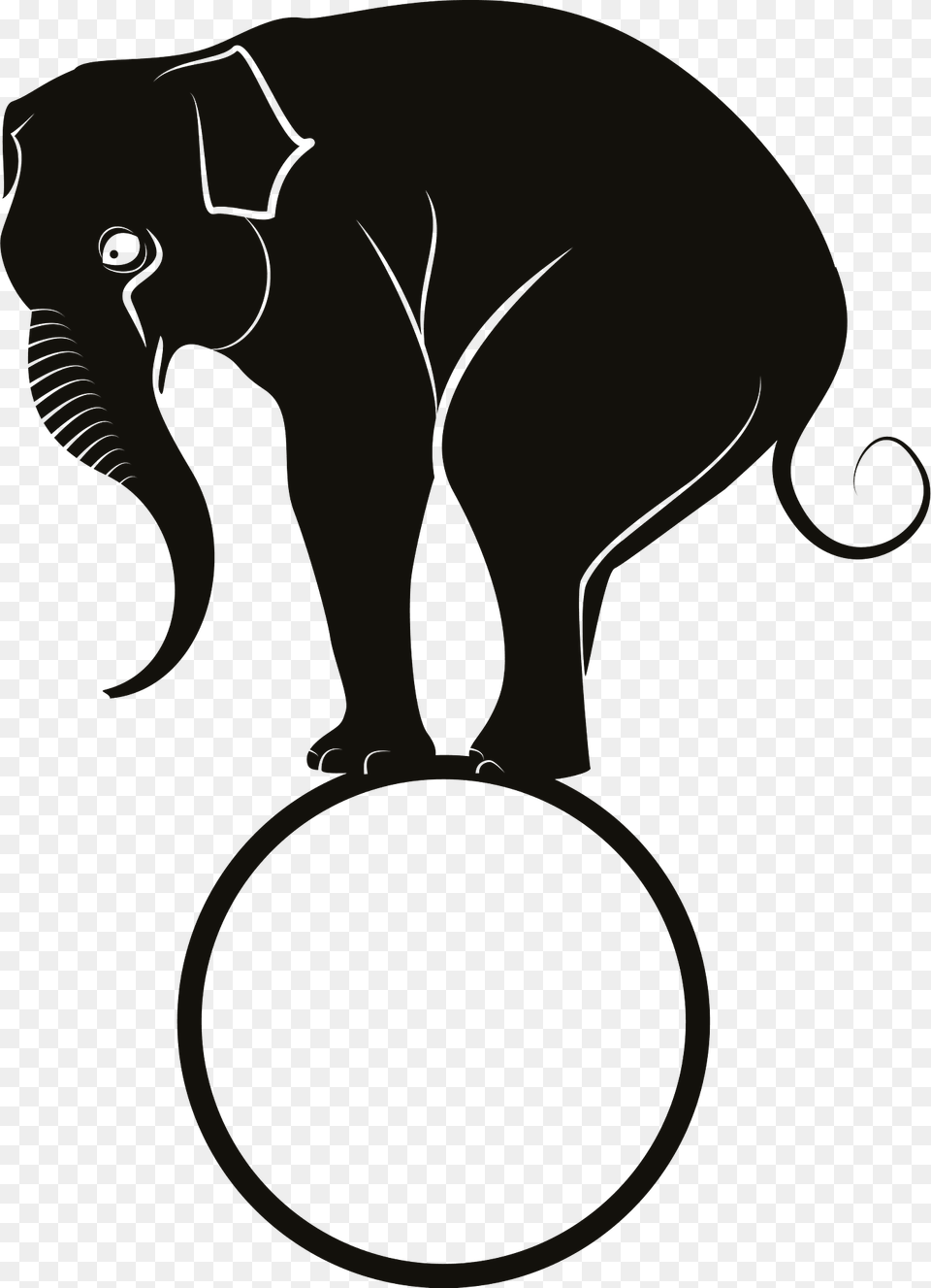Balance Elephant Clipart, Animal, Wildlife, Mammal, Person Free Transparent Png