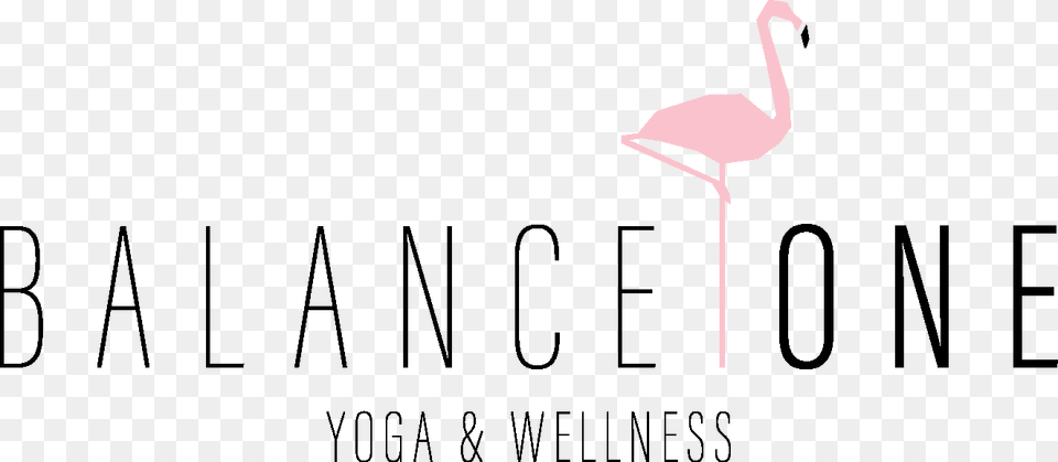 Balance One Yoga Yoga, Animal, Bird, Flamingo, Text Png