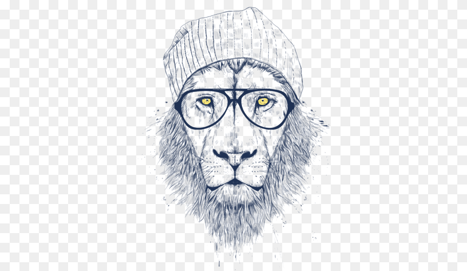 Balazs Solti Lion, Animal, Ape, Mammal, Wildlife Png Image