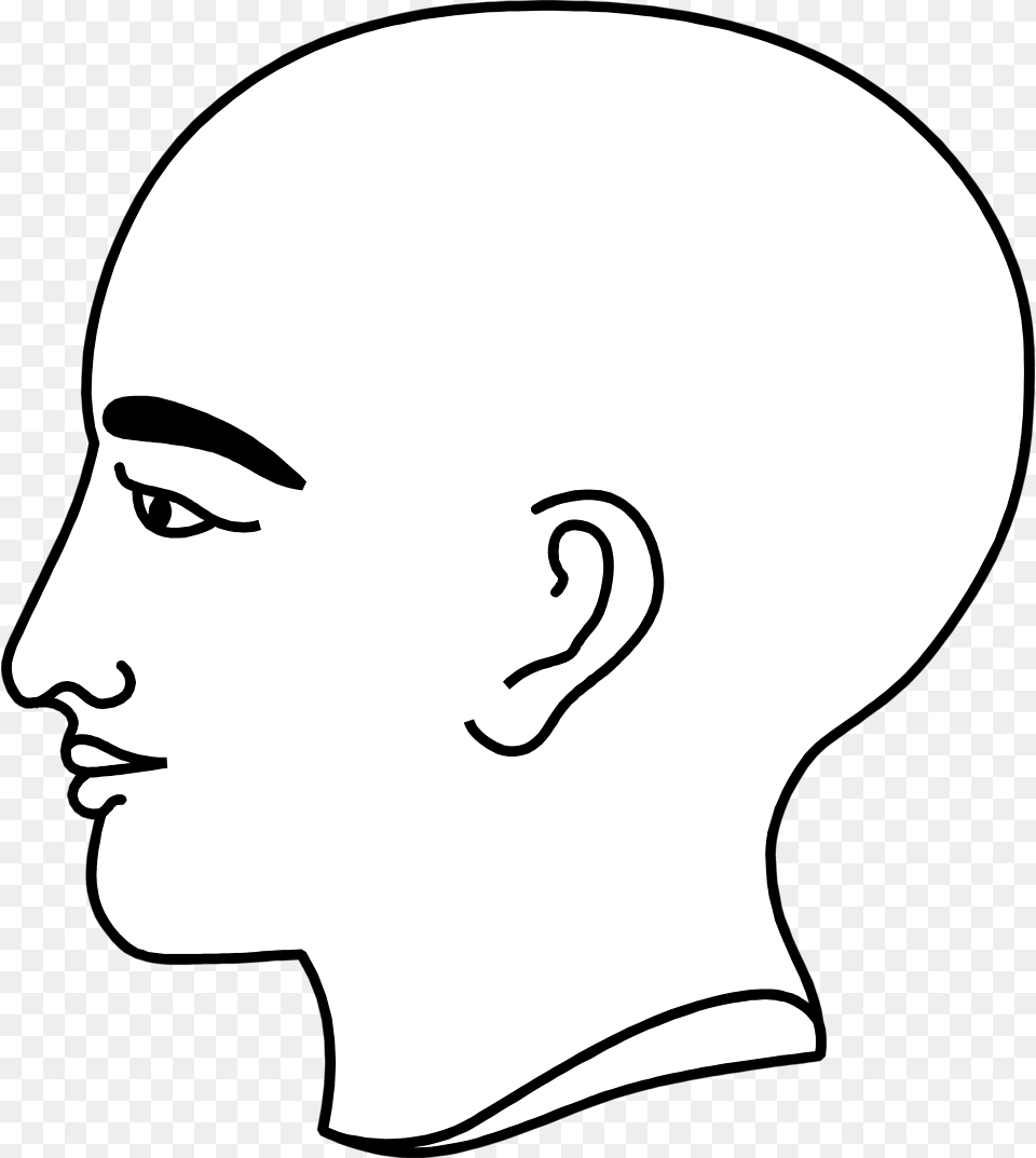 Bald Clipart Bold Man Head Profile Bald, Person, Face, Adult, Female Free Transparent Png