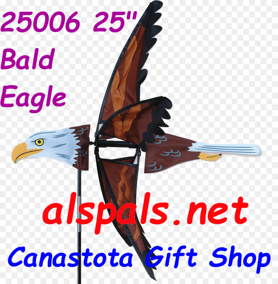 Bald Eagle, Animal, Beak, Bird, Weapon Png Image