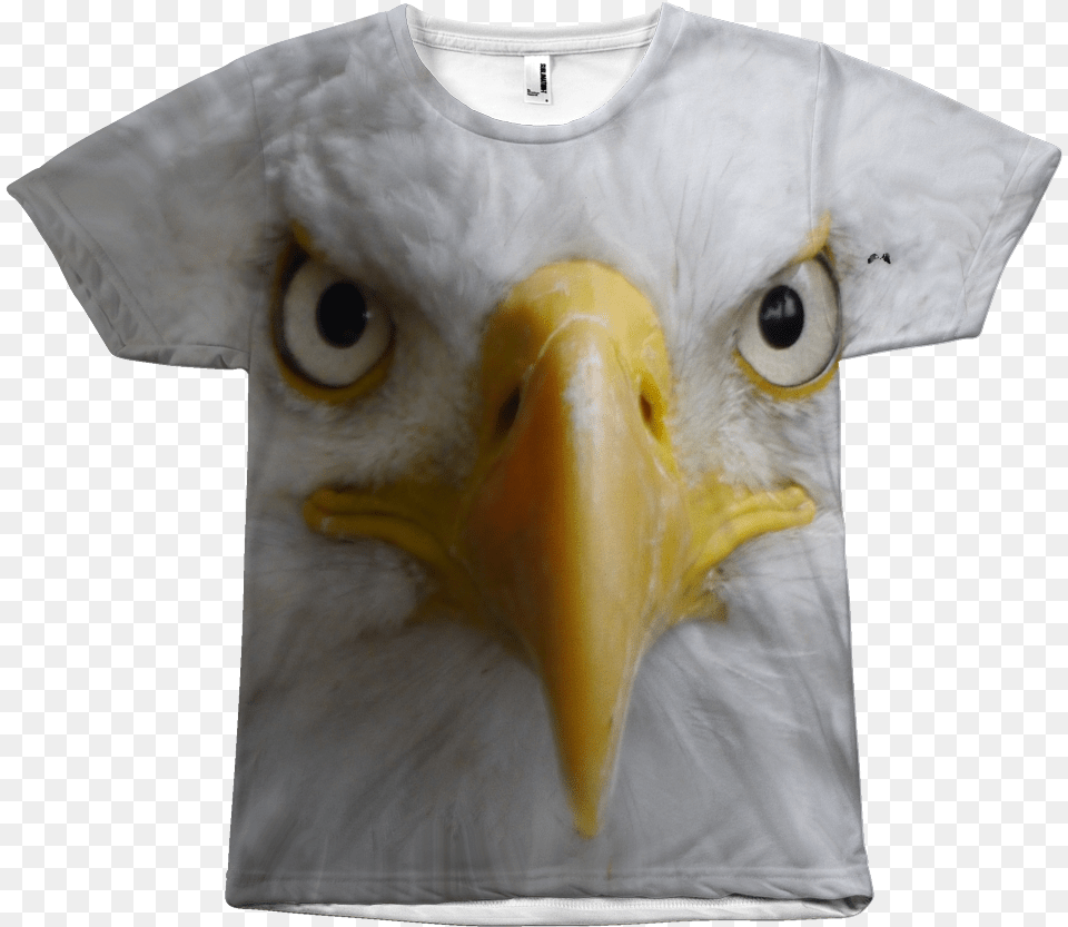 Bald Eagle, Animal, Beak, Bird, Clothing Free Transparent Png