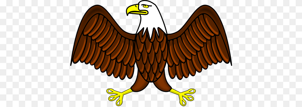 Bald Eagle Animal, Beak, Bird, Chandelier Png