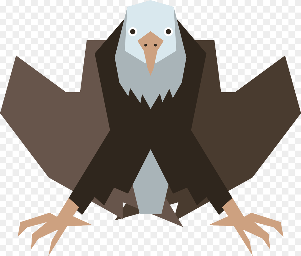 Bald Eagle, Animal, Bird, Vulture Free Png Download