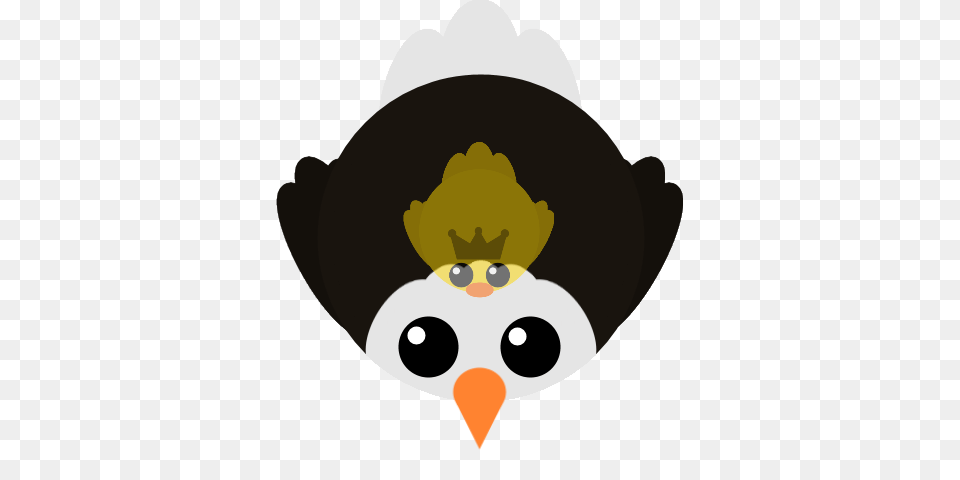 Bald Eagle, Animal, Beak, Bird, Nature Png