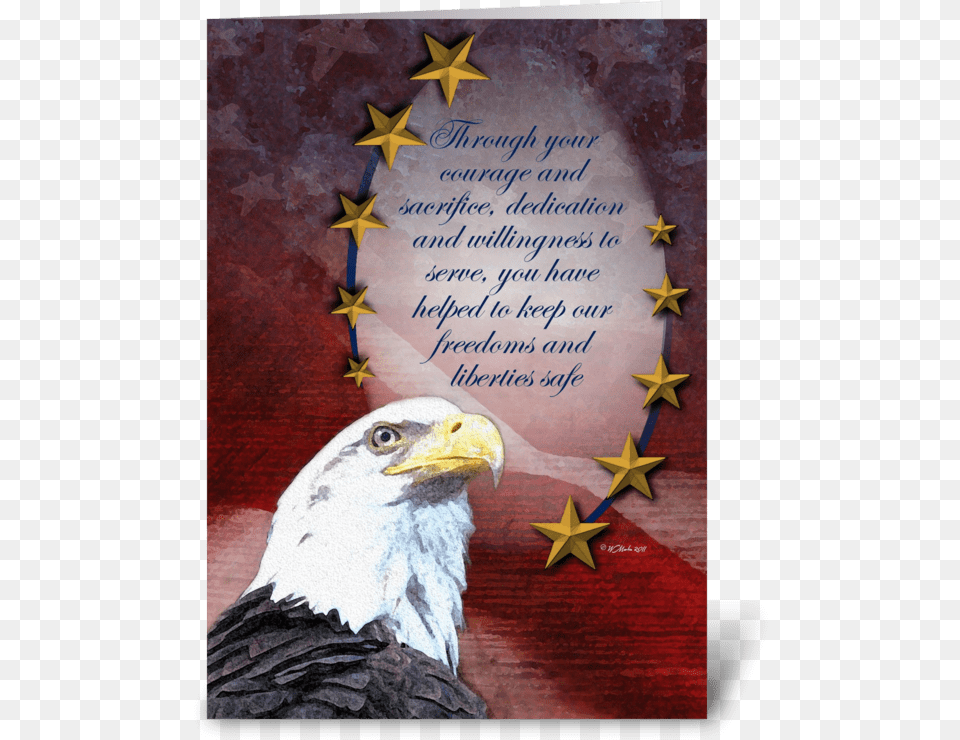 Bald Eagle And Golden Stars Veteran39s Da Greeting Card Freedom Eagle And Flag, Animal, Bird Free Png Download