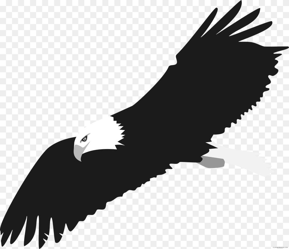 Bald Eagle Animal Black White Clipart Images Clipartblack Eagle Vector Clipart, Bird, Flying Free Png Download