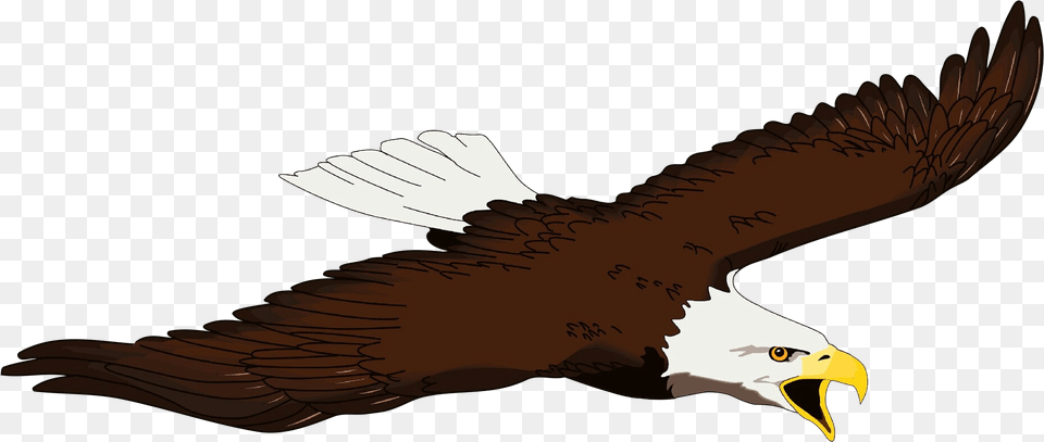 Bald Eagle Bird Beak Clip Art Transparent Bald Eagle Art, Animal, Flying, Bald Eagle, Fish Free Png Download