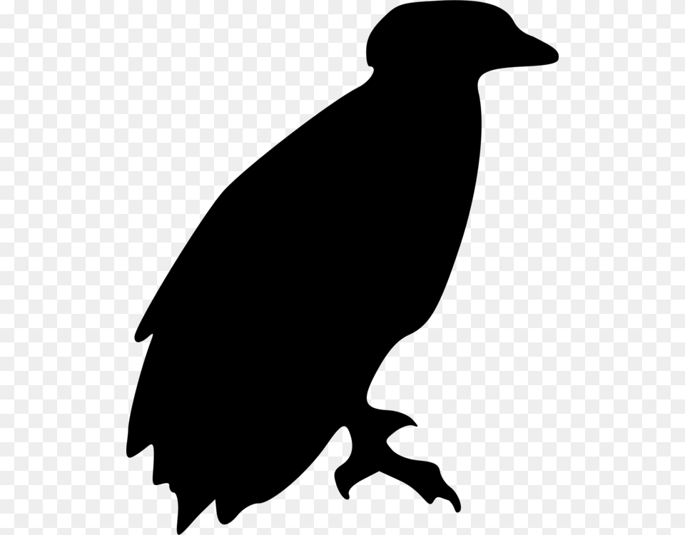 Bald Eagle Bird Computer Icons Drawing, Gray Free Transparent Png