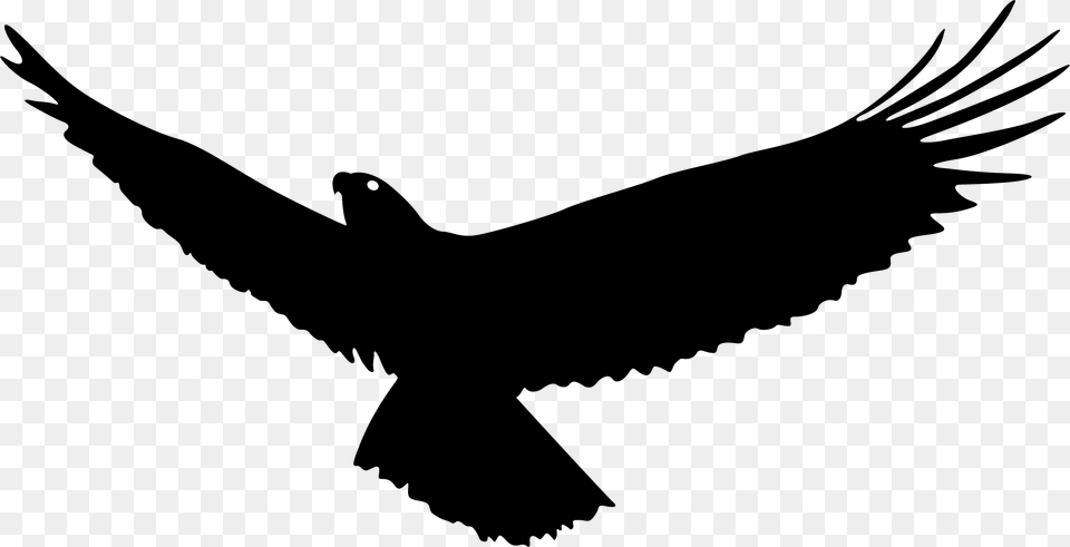 Bald Eagle Bird Flight Flying Eagle Silhouette, Animal, Blackbird Free Transparent Png