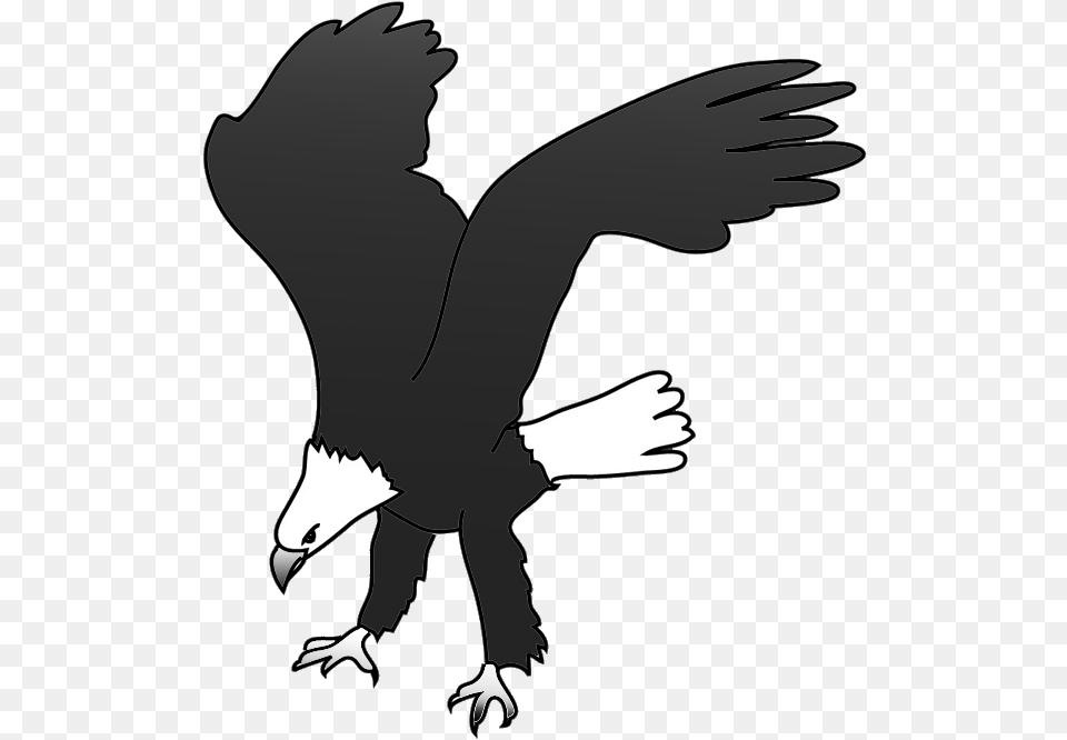 Bald Eagle Bird Silhouette Clip Art New Eagle Landing Clipart, Animal, Person Free Png Download