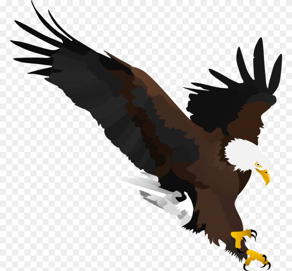 Bald Eagle By Fox Shade Eagle Shade, Animal, Bird, Beak, Bald Eagle Free Png Download