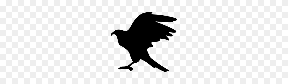 Bald Eagle Clip Art, Gray Png Image