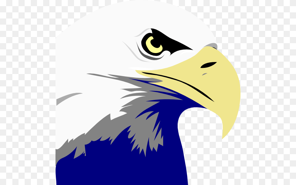 Bald Eagle Clip Art, Animal, Beak, Bird, Fish Png Image