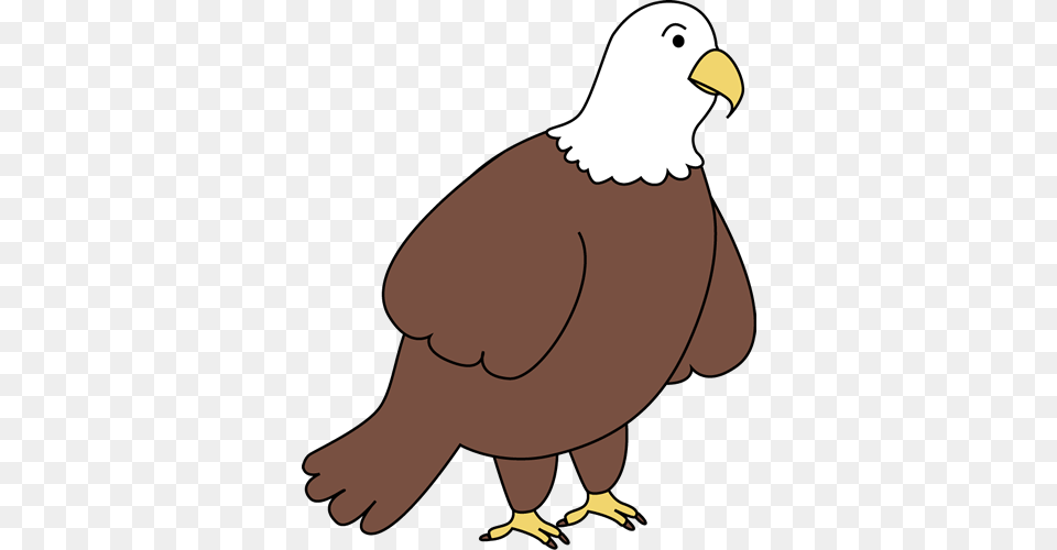 Bald Eagle Clip Art, Animal, Beak, Bird, Fish Free Png Download