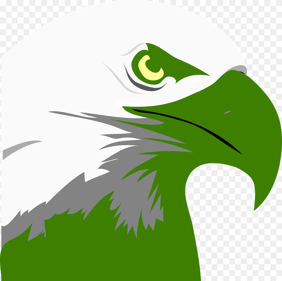 Bald Eagle Clipart, Animal, Beak, Bird, Fish Png Image