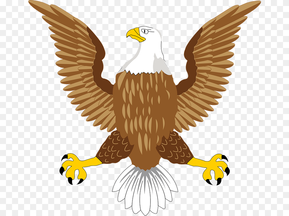 Bald Eagle Clipart Bald Eagle Symbol, Animal, Bird, Beak, Bald Eagle Free Png Download
