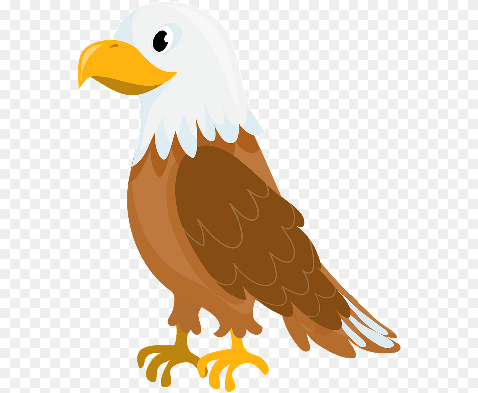 Bald Eagle Clipart Eagle Clipart, Animal, Beak, Bird, Person Free Png Download