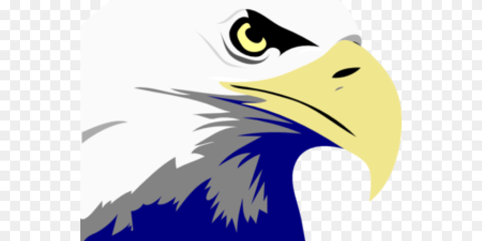 Bald Eagle Clipart Kite Bird, Animal, Beak, Bald Eagle, Person Free Png