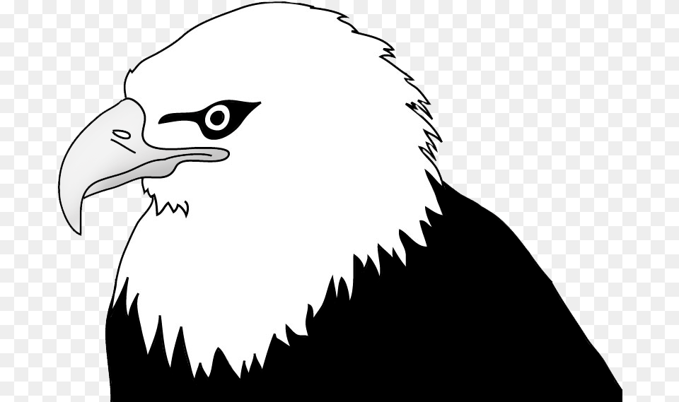 Bald Eagle Drawings Bald Eagle Clip Art Black And White, Animal, Bird, Beak, Bald Eagle Png