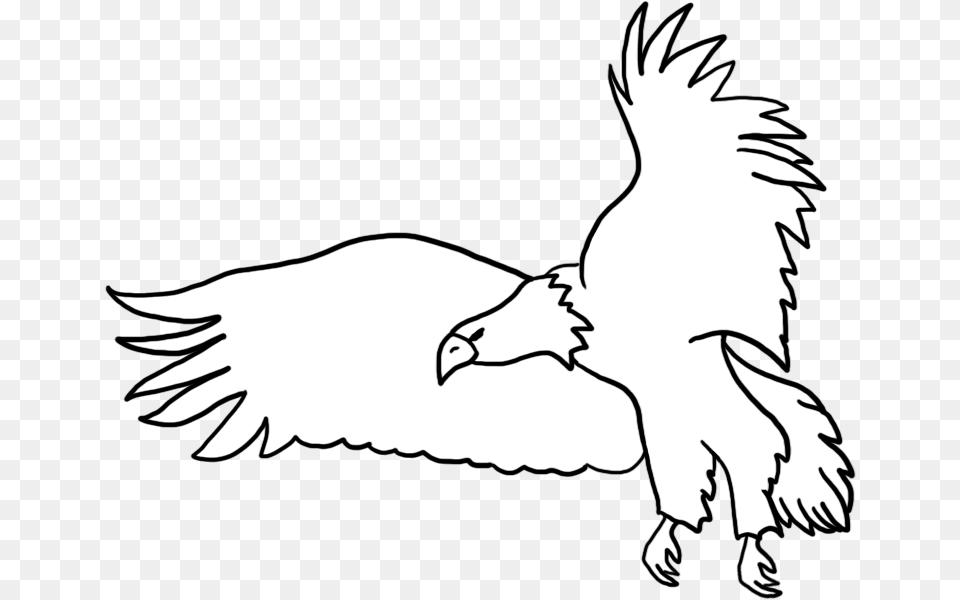 Bald Eagle Drawings Black And White Eagle Drawing, Animal, Bird, Flying, Vulture Png