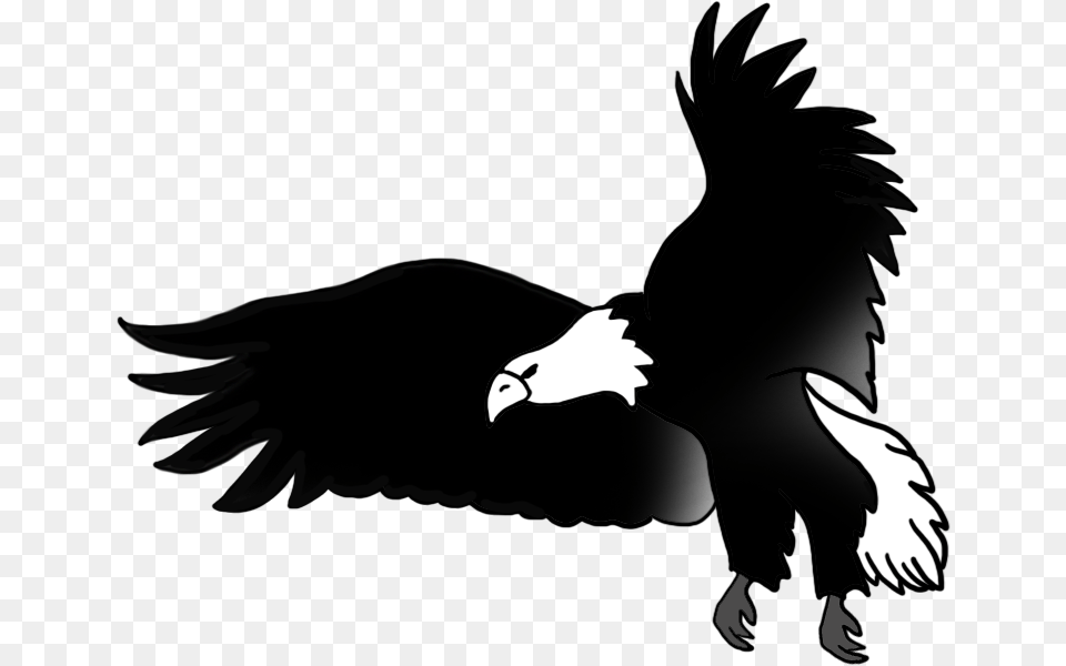 Bald Eagle Drawings Diagram Of An Eagle, Animal, Bird, Flying, Person Free Transparent Png