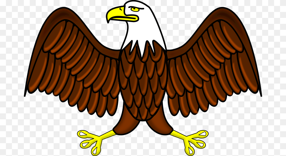 Bald Eagle Eagle Clipart, Animal, Beak, Bird, Bald Eagle Free Png