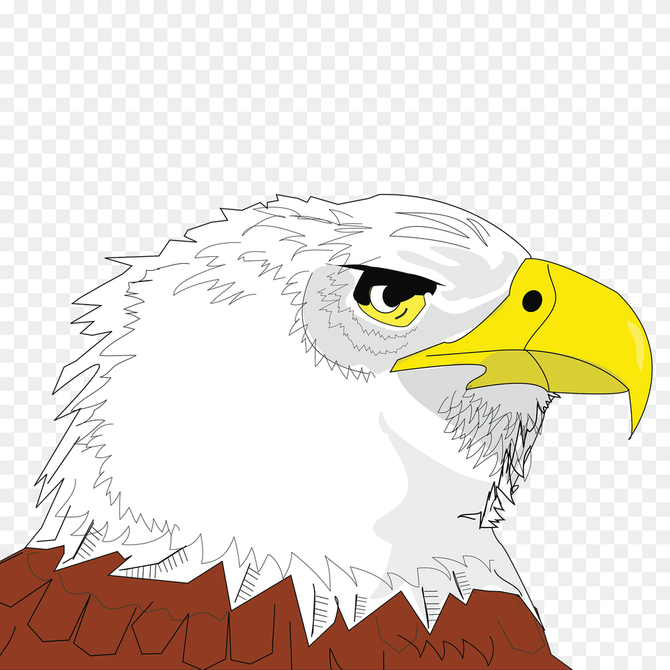 Bald Eagle Face Clipart, Animal, Beak, Bird, Bald Eagle Free Transparent Png