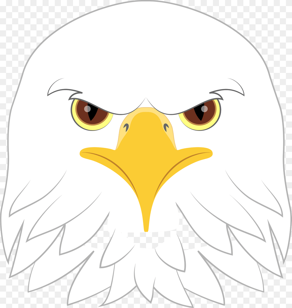 Bald Eagle Face Clipart, Animal, Beak, Bird, Baby Png Image