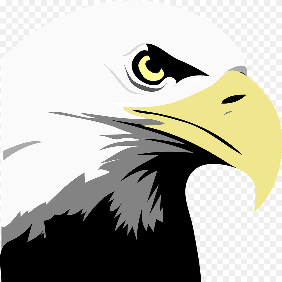 Bald Eagle Face Clipart, Animal, Beak, Bird, Fish Free Png Download