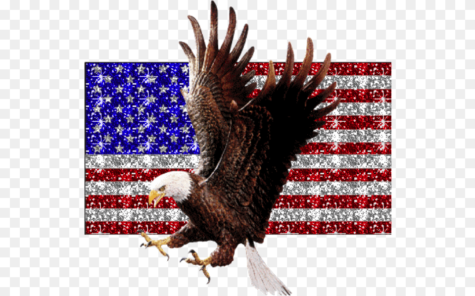 Bald Eagle Flying 4th Of July Cool, American Flag, Flag, Animal, Bird Free Png