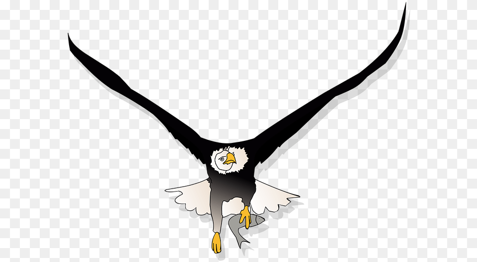 Bald Eagle Flying Cartoon Flying Eagle, Animal, Bird, Person Free Png Download