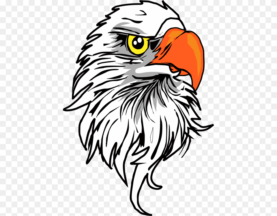 Bald Eagle Golden Eagle Computer Icons, Animal, Beak, Bird, Person Free Png