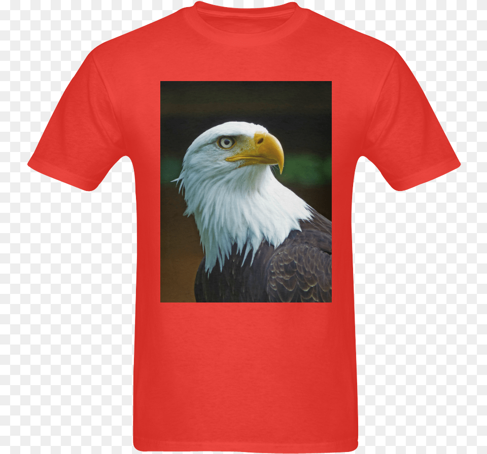 Bald Eagle Head 002 06 Sunny Men S T Shirt Bald Eagle, Clothing, T-shirt, Animal, Beak Free Png Download