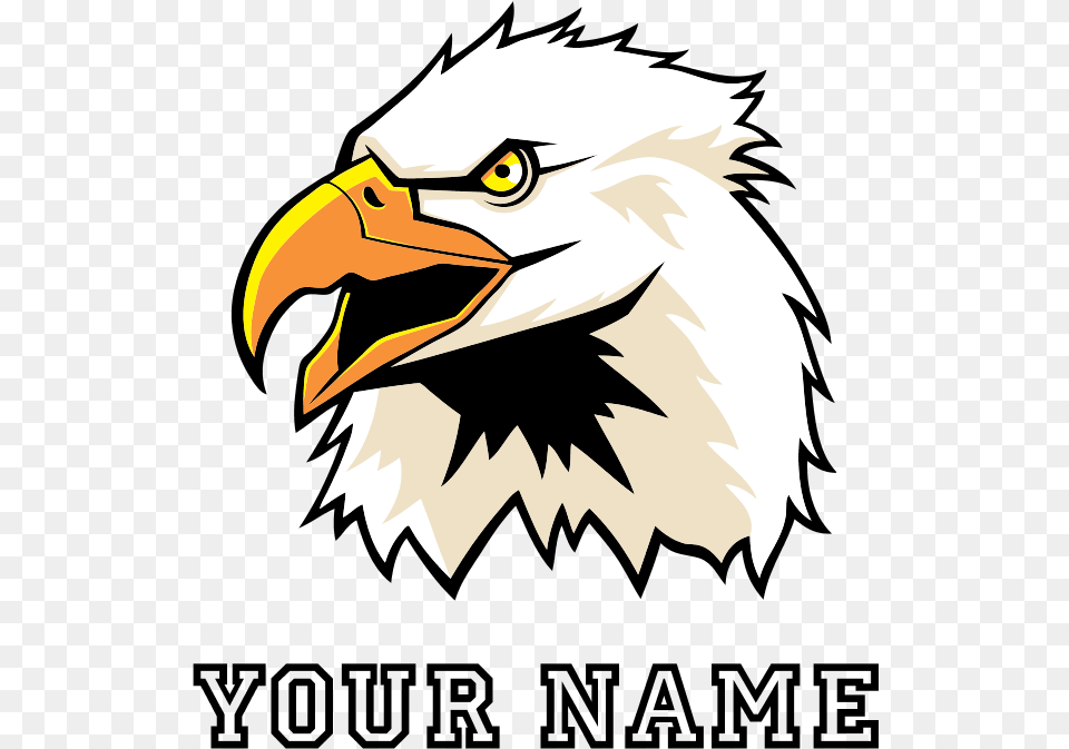 Bald Eagle Head Baby Blanket Clipart Download Status For Ending Semester, Animal, Beak, Bird, Person Free Transparent Png