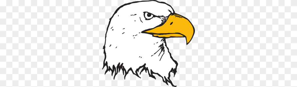Bald Eagle Head Clip Art Animals, Animal, Beak, Bird, Person Png
