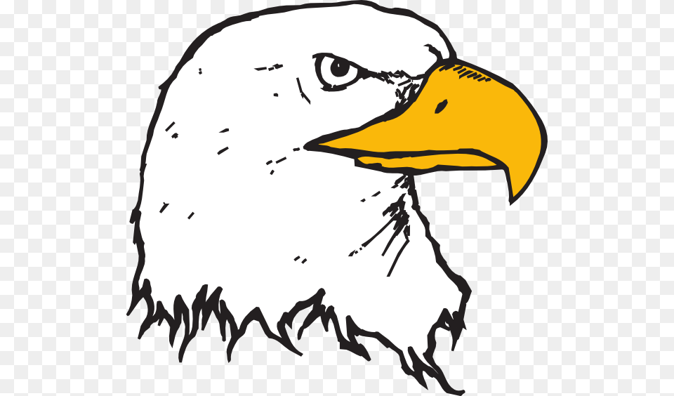 Bald Eagle Head Clip Art Cartoon Eagle Head, Animal, Beak, Bird, Person Free Png