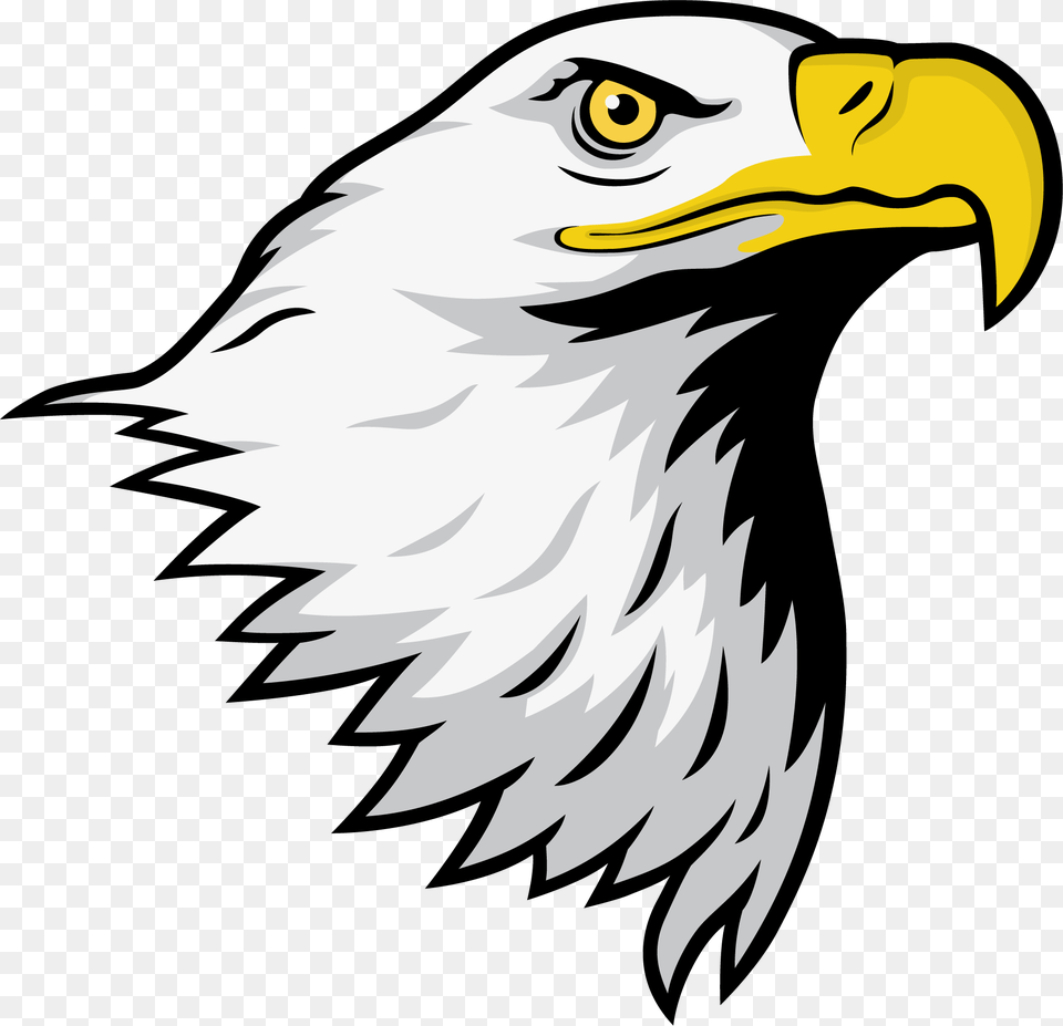 Bald Eagle Head Clipart Palm Glades Preparatory Academy, Animal, Beak, Bird, Bald Eagle Free Png