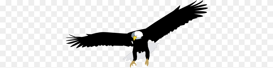 Bald Eagle Illustration, Animal, Bird, Bald Eagle Free Png