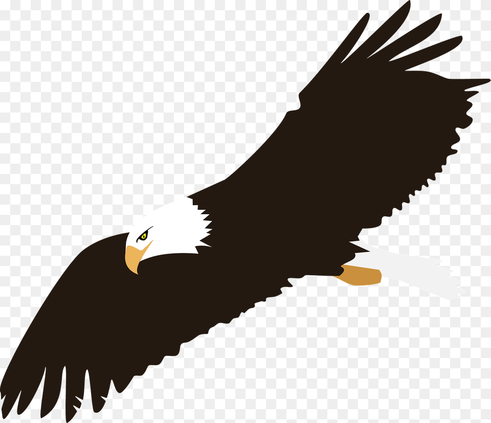 Bald Eagle In Flight Clipart, Animal, Bird, Flying, Beak Free Png