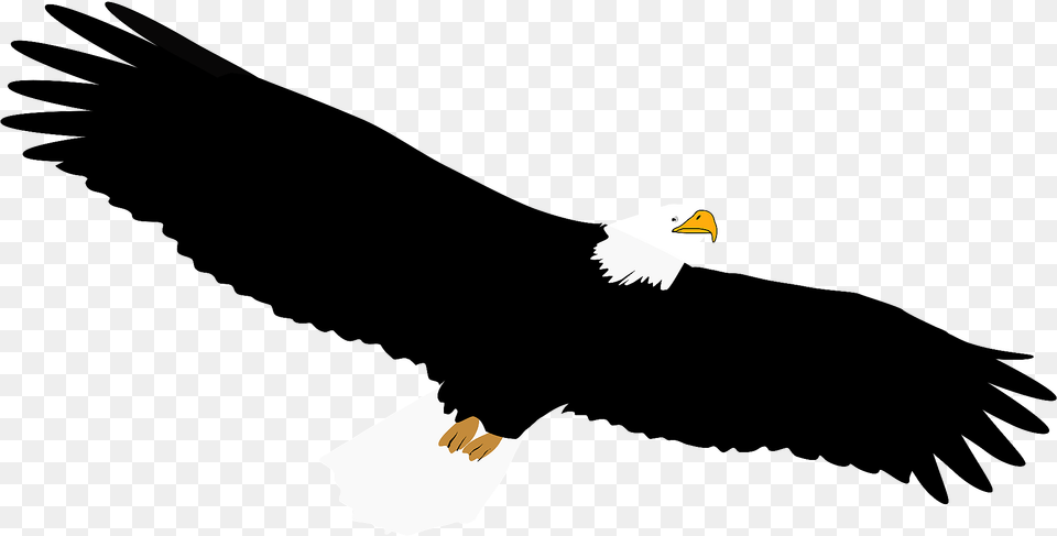 Bald Eagle In Flight Clipart, Animal, Bird, Beak, Bald Eagle Free Png Download