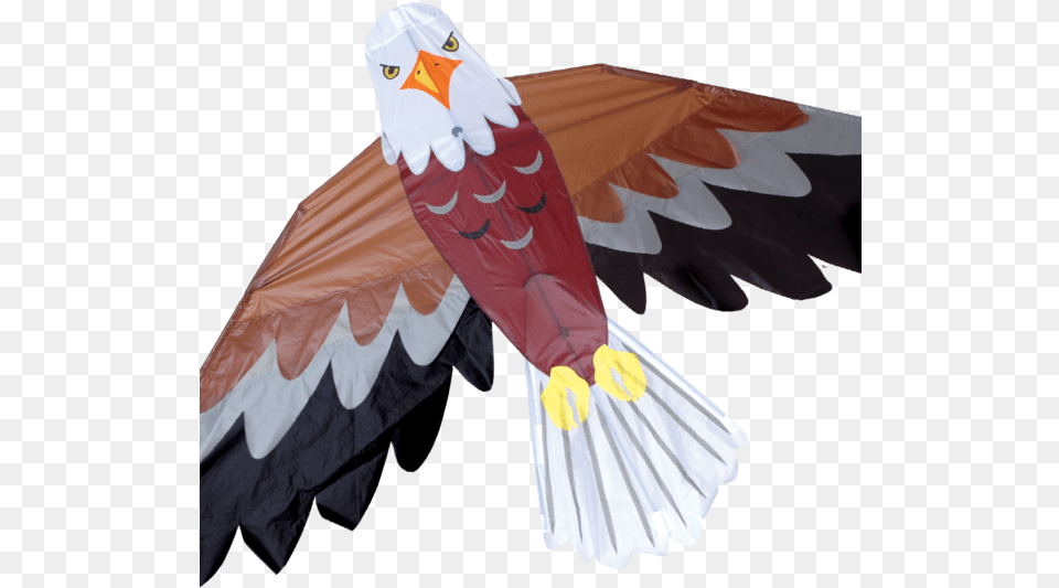 Bald Eagle Kite Eagle Kites, Animal, Beak, Bird, Kite Bird Png Image