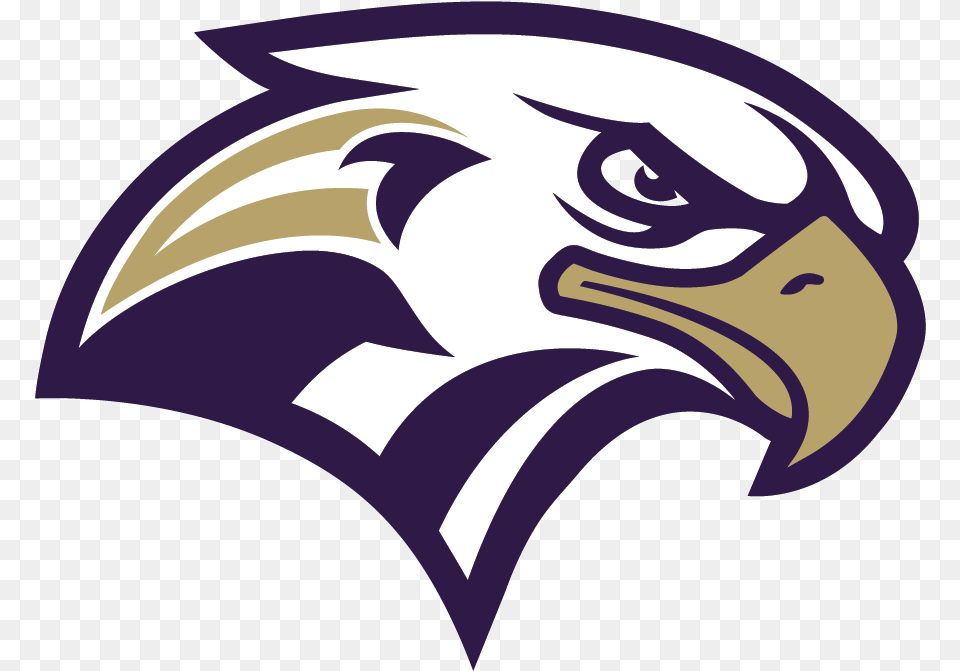 Bald Eagle Logo Beak Philadelphia Eagle Football Logo, Animal, Bird Free Png Download