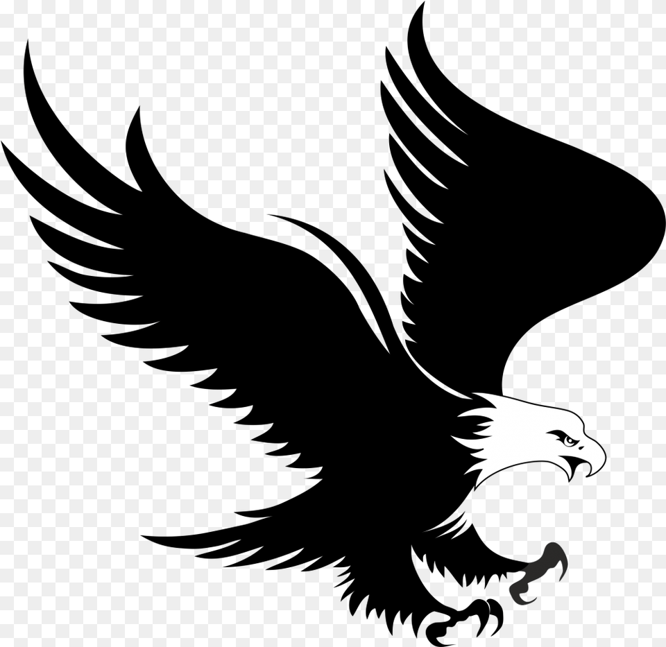 Bald Eagle Logo Clip Art Eagle Vector, Animal, Bird Png